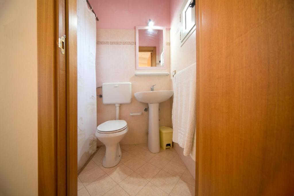 Standard Double Room,978682507:JPEG