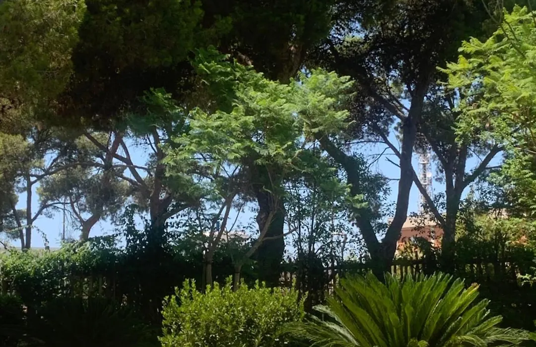 B&B Madreperla-1