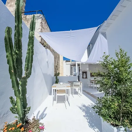 Clara Domus-3